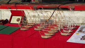 Mirna - PGD Sevnica, 90 let in prevzem vozila, foto Lapego (4)